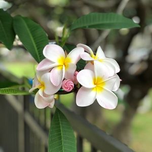 Meet your Posher, Leanna